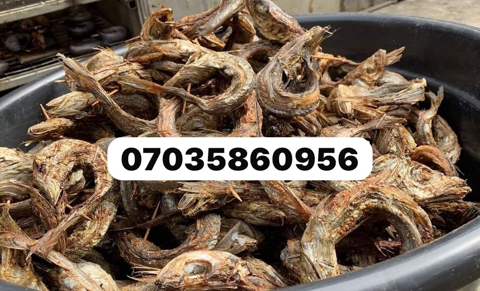 WhatsApp Image 2025-01-07 at 3.55.09 PM (1) Ora King Salmon - Image 1