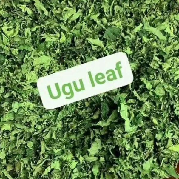 Ugu (Vegetable)